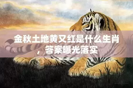 金秋土地黄又红是什么生肖，答案曝光落实