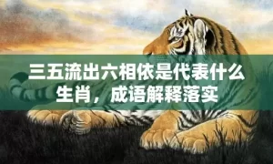 三五流出六相依是代表什么生肖，成语解释落实