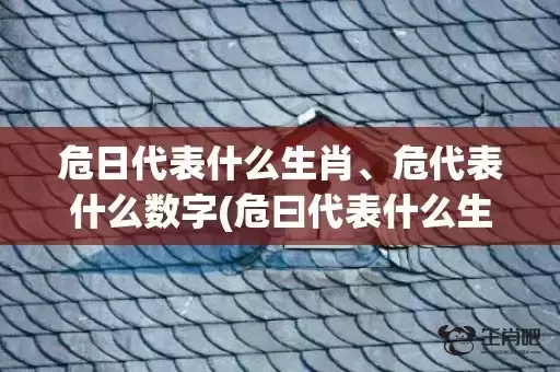 危日代表什么生肖、危代表什么数字(危曰代表什么生肖)