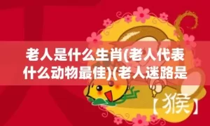 老人是什么生肖(老人代表什么动物最佳)(老人迷路是什么生肖)