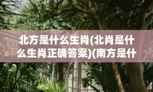 北方是什么生肖(北肖是什么生肖正确答案)(南方是什么生肖)