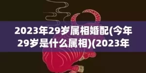 2023年29岁属相婚配(今年29岁是什么属相)(2023年29岁虚岁属什么生肖)