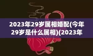 2023年29岁属相婚配(今年29岁是什么属相)(2023年29岁虚岁属什么生肖)