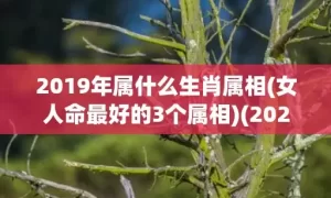 2019年属什么生肖属相(女人命最好的3个属相)(2020年属什么)