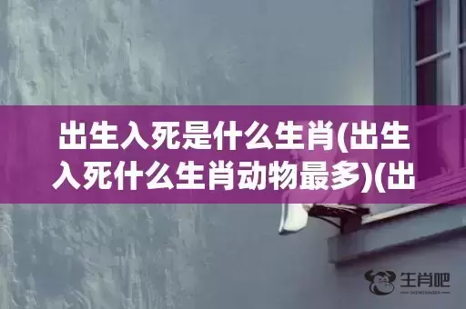 出生入死是什么生肖(出生入死什么生肖动物最多)(出生入死是什么生肖) 出生入死是什么生肖(出生入死什么生肖动物最多)(出生入死是什么生肖)