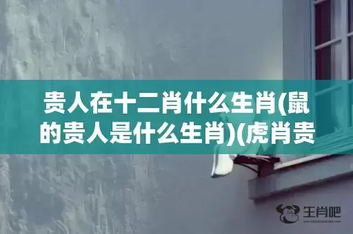 贵人在十二肖什么生肖(鼠的贵人是什么生肖)(虎肖贵人什么生肖)