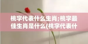 桃字代表什么生肖;桃字最佳生肖是什么(桃字代表什么生肖好)