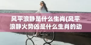 风平浪静是什么生肖(风平浪静火势凶是什么生肖的动物)(风平浪静是什么短语)