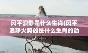 风平浪静是什么生肖(风平浪静火势凶是什么生肖的动物)(风平浪静是什么短语)