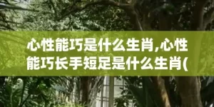 心性能巧是什么生肖,心性能巧长手短足是什么生肖(一个人的心性是什么意思)