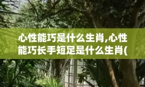 心性能巧是什么生肖,心性能巧长手短足是什么生肖(一个人的心性是什么意思)