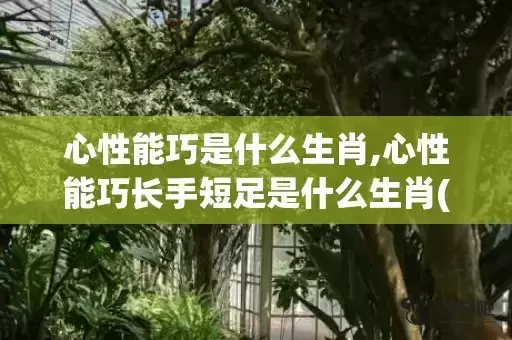 心性能巧是什么生肖,心性能巧长手短足是什么生肖(一个人的心性是什么意思)