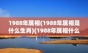 1988年属相(1988年属相是什么生肖)(1988年属相什么命)