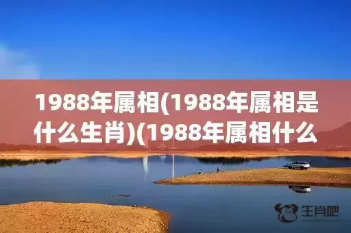 1988年属相(1988年属相是什么生肖)(1988年属相什么命)