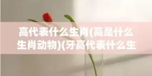 高代表什么生肖(高是什么生肖动物)(牙高代表什么生肖)