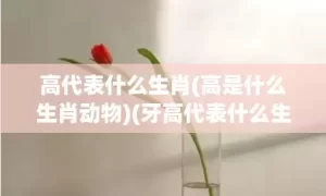 高代表什么生肖(高是什么生肖动物)(牙高代表什么生肖)