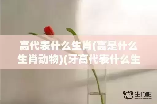 高代表什么生肖(高是什么生肖动物)(牙高代表什么生肖)