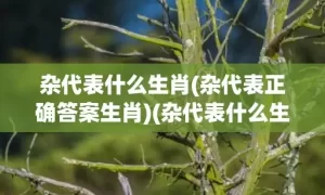 杂代表什么生肖(杂代表正确答案生肖)(杂代表什么生肖动物)