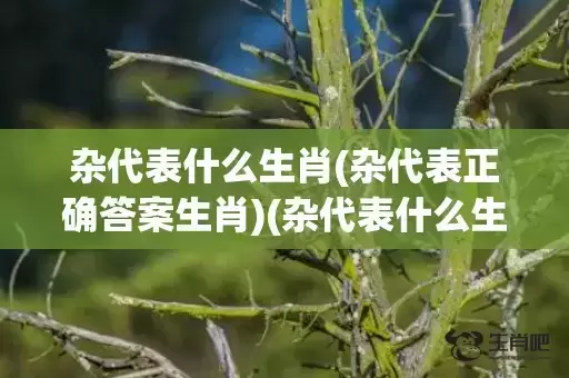 杂代表什么生肖(杂代表正确答案生肖)(杂代表什么生肖动物)