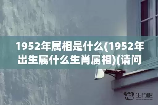 1952年属相是什么(1952年出生属什么生肖属相)(请问1952年属相属什么)
