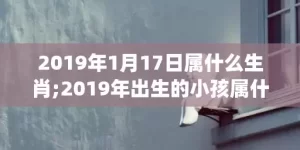 2019年1月17日属什么生肖;2019年出生的小孩属什么生肖(明确跨)