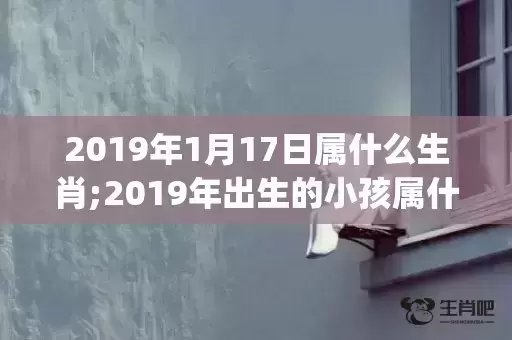 2019年1月17日属什么生肖;2019年出生的小孩属什么生肖(明确跨)