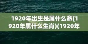 1920年出生是属什么命(1920年属什么生肖)(1920年出生是属什么命)