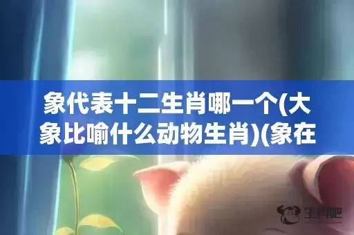 象代表十二生肖哪一个(大象比喻什么动物生肖)(象在十二生肖中代表谁)