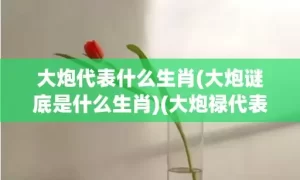 大炮代表什么生肖(大炮谜底是什么生肖)(大炮禄代表什么生肖)