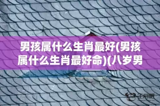 男孩属什么生肖最好(男孩属什么生肖最好命)(八岁男孩属什么生肖) 男孩属什么生肖最好(男孩属什么生肖最好命)(八岁男孩属什么生肖)