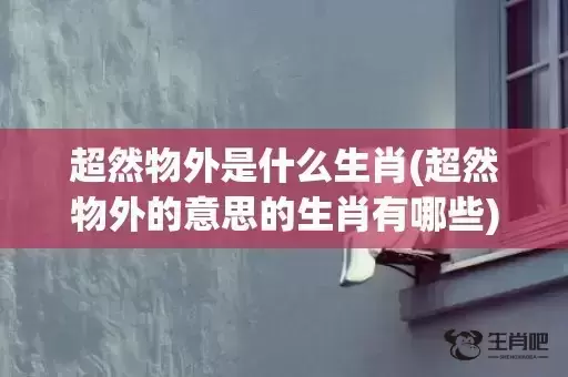 超然物外是什么生肖(超然物外的意思的生肖有哪些)(超然物外是什么意思啊) 超然物外是什么生肖(超然物外的意思的生肖有哪些)(超然物外是什么意思啊)