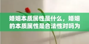 婚姻本质属性是什么，婚姻的本质属性是合法性对吗为什么(合法的婚姻以什么为标准)