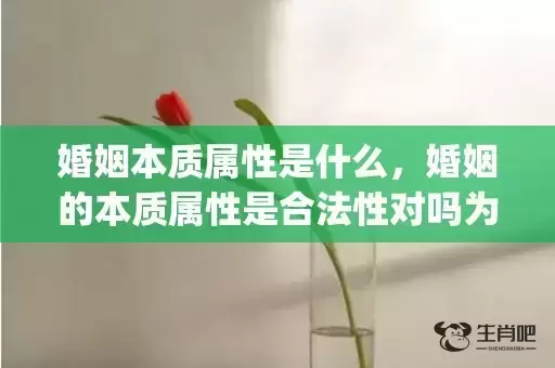 婚姻本质属性是什么,婚姻的本质属性是合法性对吗为什么(合法的婚姻以什么为标准) 婚姻本质属性是什么,婚姻的本质属性是合法性对吗为什么(合法的婚姻以什么为标准)