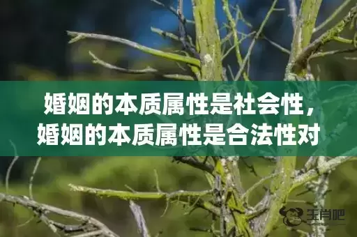 婚姻的本质属性是社会性，婚姻的本质属性是合法性对不对呢(人的本质是什么)
