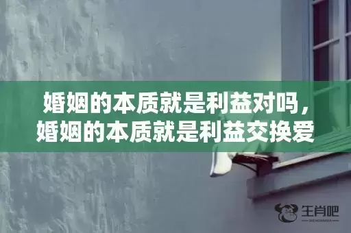 婚姻的本质就是利益对吗，婚姻的本质就是利益交换爱情的本质是，婚姻的本质是等价交换