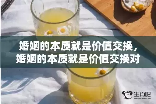 婚姻的本质就是价值交换,婚姻的本质就是价值交换对吗对吗对吗 婚姻生活的本质是什么 婚姻的本质就是价值交换,婚姻的本质就是价值交换对吗对吗对吗 婚姻生活的本质是什么