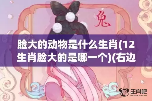 脸大的动物是什么生肖(12生肖脸大的是哪一个)(右边脸大是什么原因)