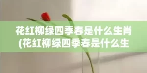 花红柳绿四季春是什么生肖(花红柳绿四季春是什么生肖动物)(花红柳绿四季春是什么波色)