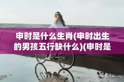 申时是什么生肖(申时出生的男孩五行缺什么)(申时是什么生肖动物)