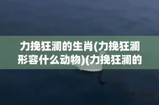 力挽狂澜的生肖(力挽狂澜形容什么动物)(力挽狂澜的生肖)
