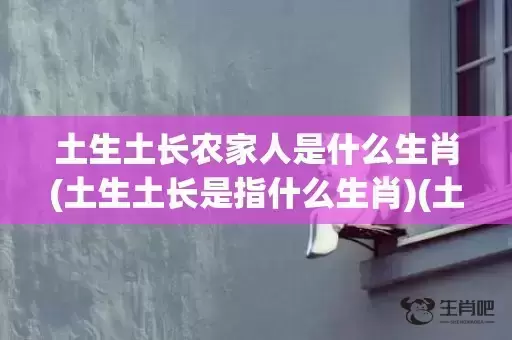 土生土长农家人是什么生肖(土生土长是指什么生肖)(土生土长农家人是什么生肖?) 土生土长农家人是什么生肖(土生土长是指什么生肖)(土生土长农家人是什么生肖?)