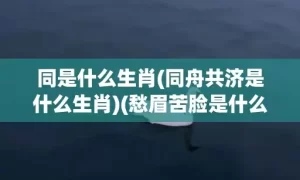 同是什么生肖(同舟共济是什么生肖)(愁眉苦脸是什么生肖)