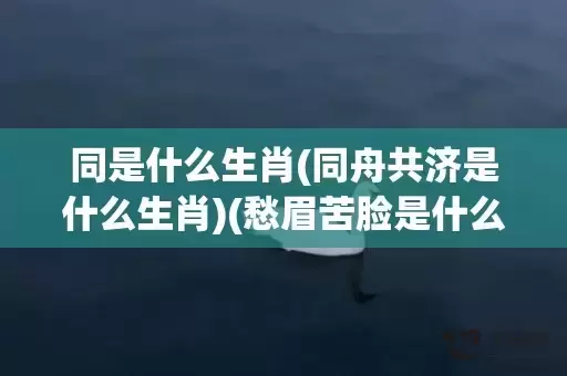 同是什么生肖(同舟共济是什么生肖)(愁眉苦脸是什么生肖)