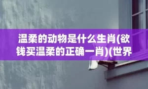 温柔的动物是什么生肖(欲钱买温柔的正确一肖)(世界上最温柔的动物是什么)