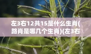 左3右12共15是什么生肖(路肖是哪几个生肖)(左3右12共15画代表什么生肖)