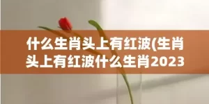 什么生肖头上有红波(生肖头上有红波什么生肖2023)(什么生肖头上有红纹的动物)