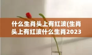 什么生肖头上有红波(生肖头上有红波什么生肖2023)(什么生肖头上有红纹的动物)