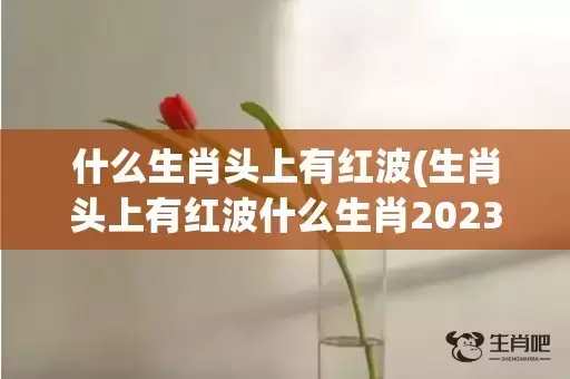 什么生肖头上有红波(生肖头上有红波什么生肖2023)(什么生肖头上有红纹的动物)