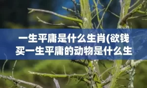 一生平庸是什么生肖(欲钱买一生平庸的动物是什么生肖)(一生平庸是什么生肖最准确动物)