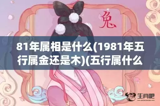 81年属相是什么(1981年五行属金还是木)(五行属什么)